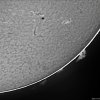 Sonne in H-alpha vom 01.04.2012