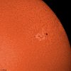 Sonne in H-alpha vom 07.08.2011