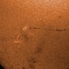 Sonne in H-alpha vom 27.08.2016